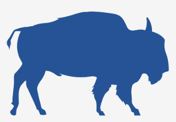 Buffalo WNY