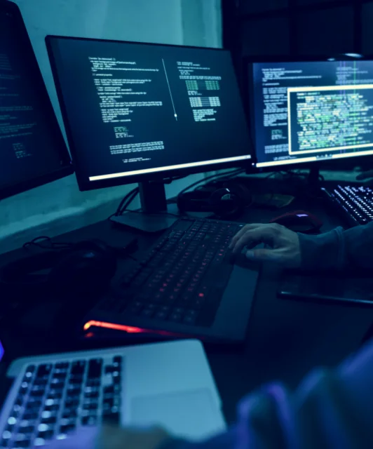 img-sg2-why-penetration-testing-01